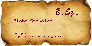 Blaha Szabolcs névjegykártya